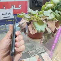 گوشی موبایل نو و درحد نو|موبایل|کرج, حصارک پایین|دیوار