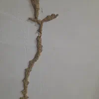 سمپاشی تضمینی موریانه(ریشمیز)ساس سوسک موش کنه|خدمات نظافت|شیراز, فرهنگ شهر|دیوار