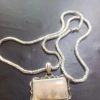 گردنی شجر فوق کلکسیونی نیست در جهان