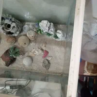 فروش وسایل آکواریوم