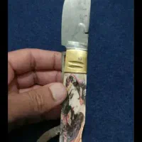 چاقودنده ای