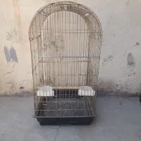 قفس کاسکویی بزرگ و سالم