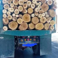 تولید کننده پالت چوبی نو بدون واسطه مستقیم|عمده‌فروشی|تهران, خانی آباد نو شمالی|دیوار