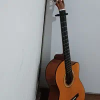 گیتار ویلسونg20