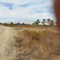 فروش زمین کشاورزی