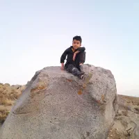 زمین برای گلخانه