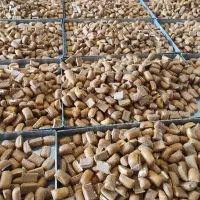 سوهان گزی|عمده‌فروشی|اصفهان, قهجاورستان|دیوار