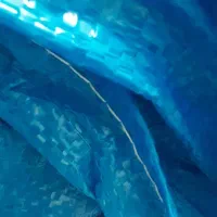 فوم و گونی برای  سرما زدگی گوجه فرنگی در ارسنجان