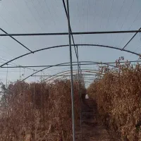 سازه گلخانه