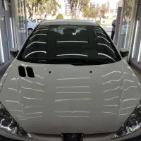 پژو 206 Tu5 مدل 95