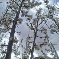 تورهای گردشگری قیمت مناسب داخلی و خارجی