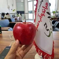 پیش فروش بیش از ۳۰۰ رقم نهال مثمر تجاری