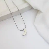 گردبند استیل رنگ ثابت|بدلیجات|قم, باسکول|دیوار