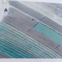 اجاره زمین آبی جهت کشاورزی یا سبزی کاری