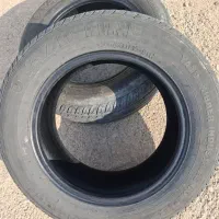 لاستیک|قطعات یدکی و لوازم جانبی|پلدشت, |دیوار