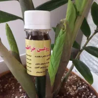 روغن خراطین اصل