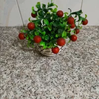 گل مصنوعی|گل مصنوعی|قم, شاه ابراهیم|دیوار