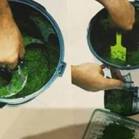 سبزی خردکن سالم و کاربردی