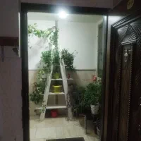 واحد تک خواب ۵۵ متری امام