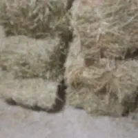 پرس یونجه|لوازم جانبی حیوانات|خرم‌آباد, |دیوار