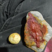 مهره تسبیح
