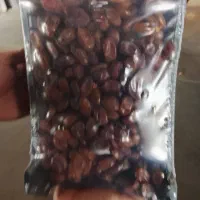 فروش خرما ب صورت تکی و عمده