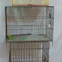 سه عدد قفس پرنده