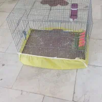 قفس پرنده