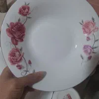 آرکوپال