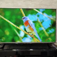 تلویزیون ۴۹ اینچ LG ال ای دی 49LF55000GI|تلویزیون و پروژکتور|ساوه, |دیوار