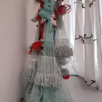 سلیه باقیمتی مناسب