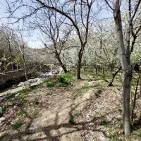 ۱۵۴۵ متر زمین باغ واقع در سنگان|فروش زمین و ملک کلنگی|تهران, جنتآباد شمالی|دیوار