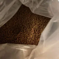 غذای ماهی آب شیرین|ماهی|اصفهان, سروستان|دیوار