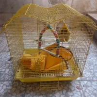 قفس فنچ