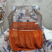 قفس پرنده