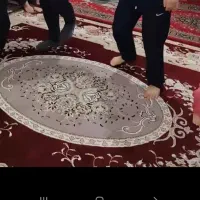 فروش یک جفت فرش زرشکی بسیار تمیز|فرش|قم, آزادگان|دیوار
