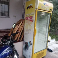 یخچال ایستاده|فروشگاه و مغازه|رشت, پستک|دیوار