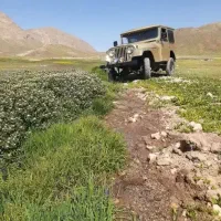 چیپ صحرا مدل ۶۱ طلایی