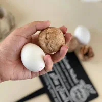 ارقام گردوی متنوع فروش ویژه نهالستان