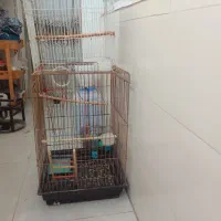 قفس بزرگ دوطبقه
