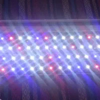 نور ال ای دی اکواریوم ۶۰سانت تا ۸۰ سانت. پلنت|ماهی|بهبهان, |دیوار