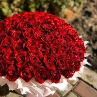 گل روبانی|گل مصنوعی|بندر گناوه, |دیوار