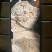 ۱۵ پرو ۵۱۲ گیگ