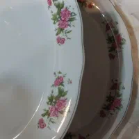 دیس گلسرخی سالم