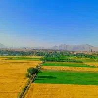 نیاز به سرمایه گذار با پول نقد ۲میلیار تومان