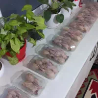 بلدرچین گوشتی|خوردنی و آشامیدنی|املش, |دیوار