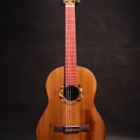 گیتار Doris|گیتار، بیس، امپلیفایر|اصفهان, باغ زرشک|دیوار