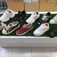 کتاب تاریخی|کتاب و مجله تاریخی|سبزوار, مدرس|دیوار