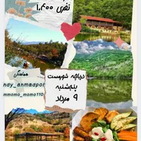 تور یکروزه