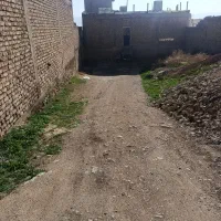 سوییت